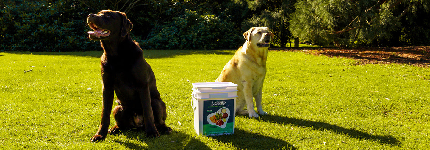 Naturally Pawsome at Paws in the Park – This Weekend in Queenstown and Wanaka!