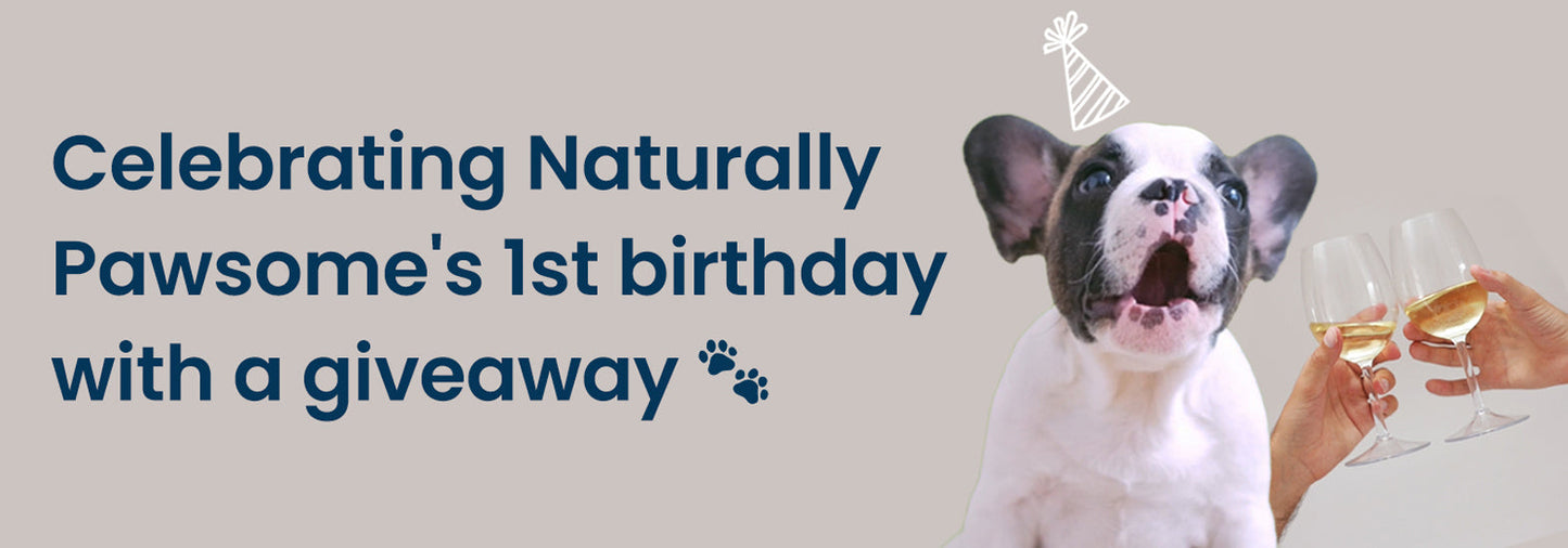 Celebrating Naturally Pawsome's first birthday with a giveaway!
