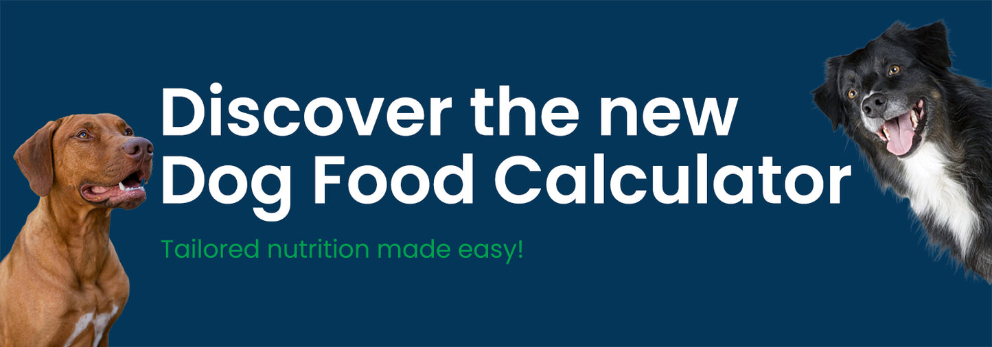 Naturally Pawsome Launches New Dog Food Calculator