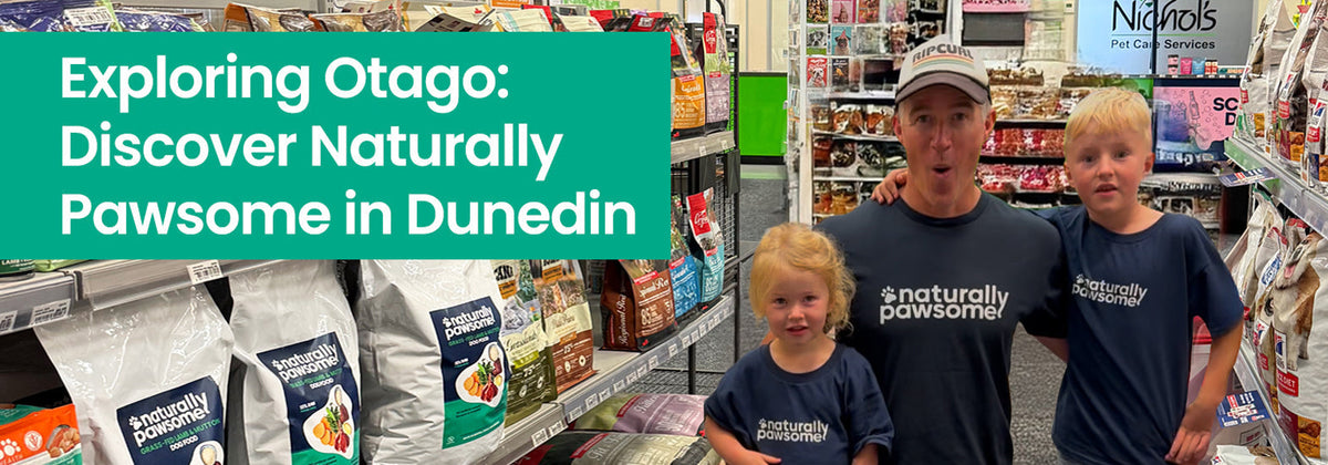 Exploring Otago: Naturally Pawsome reaches the beaches in Dunedin