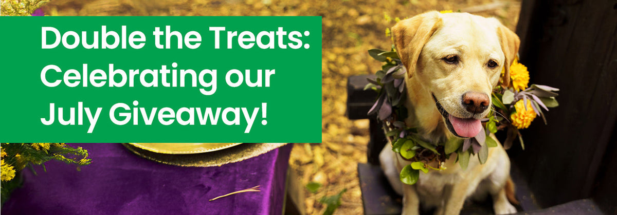 Sharing the love: Our Pawsome giveaway recap!