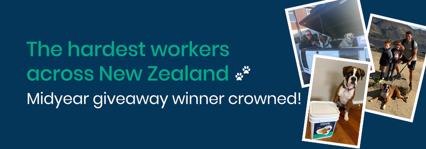 The hardest workers across New Zealand: Midyear giveaway winner crowned!