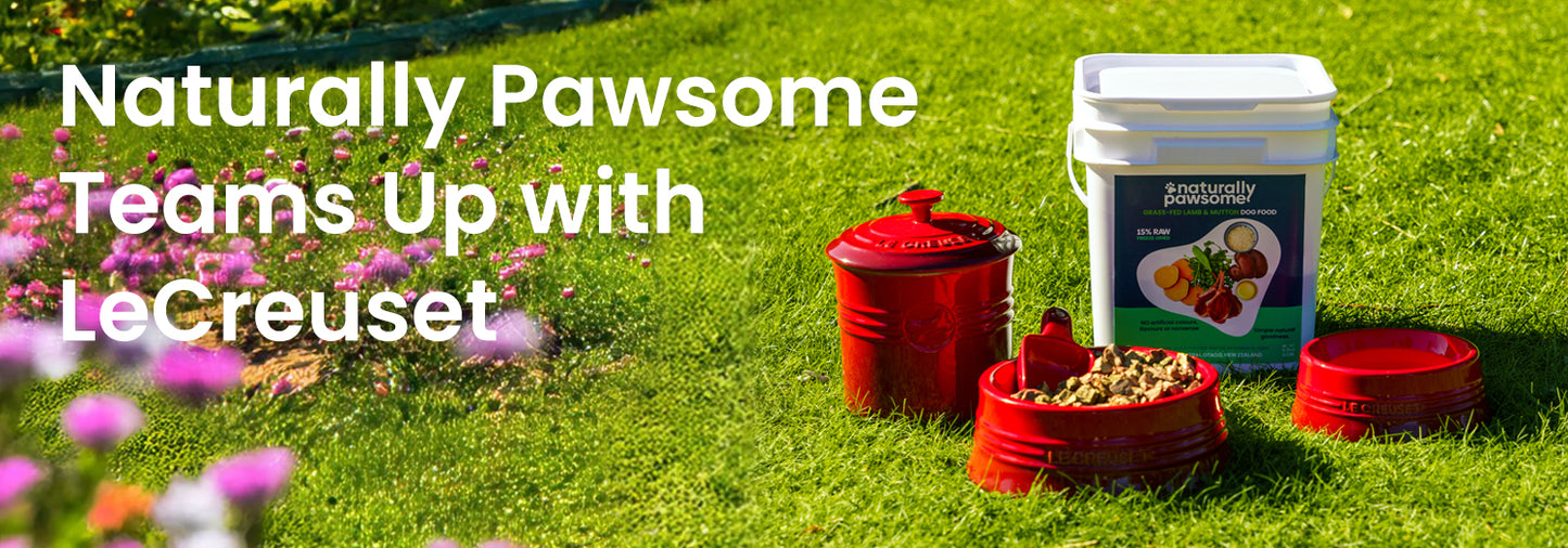 Win Big with Naturally Pawsome & Le Creuset!