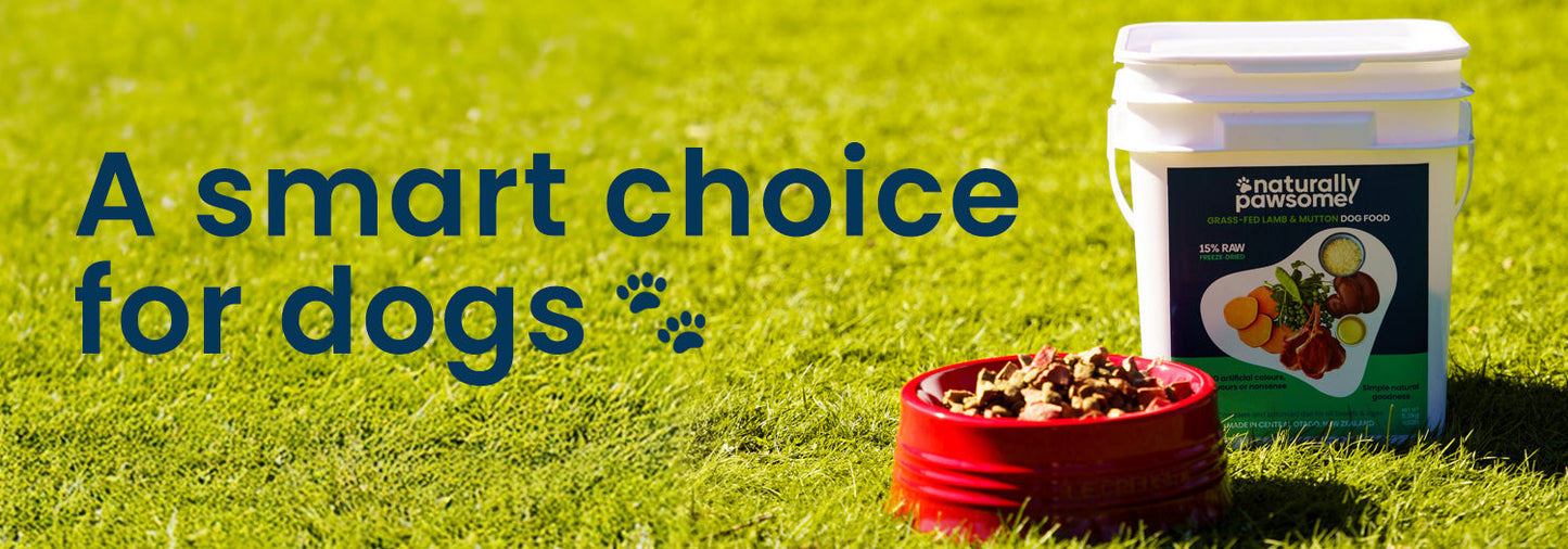 A Smart Choice for Dogs