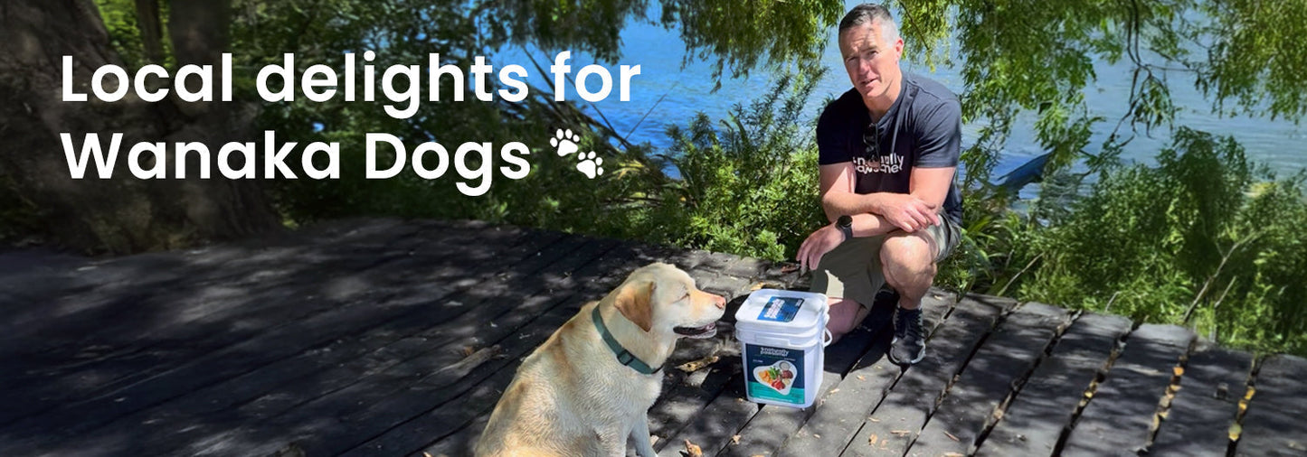 Naturally Pawsome: Local Delights for Wanaka Dogs