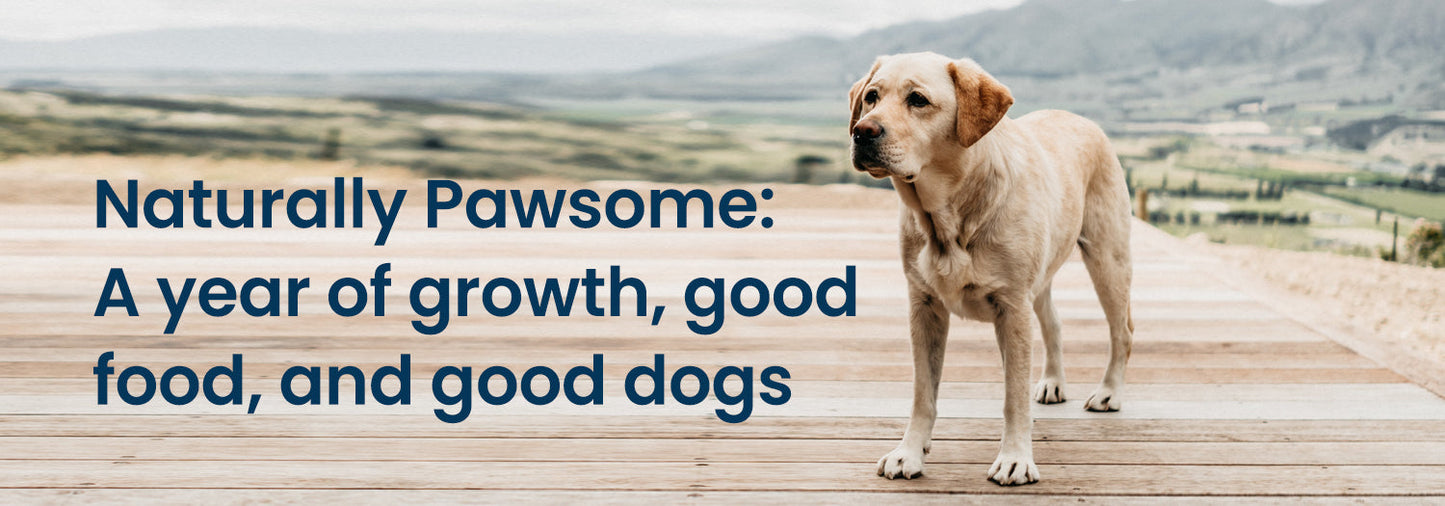 Naturally Pawsome: A year of growth, good food, and good dogs