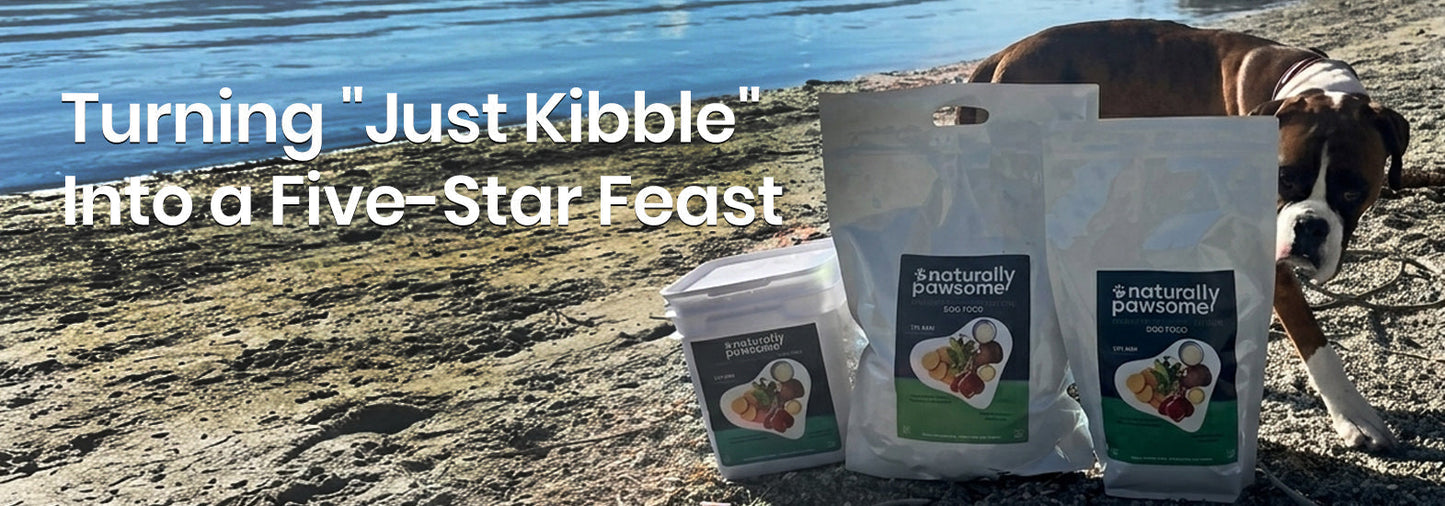 Turning "Just Kibble" into a five-star feast