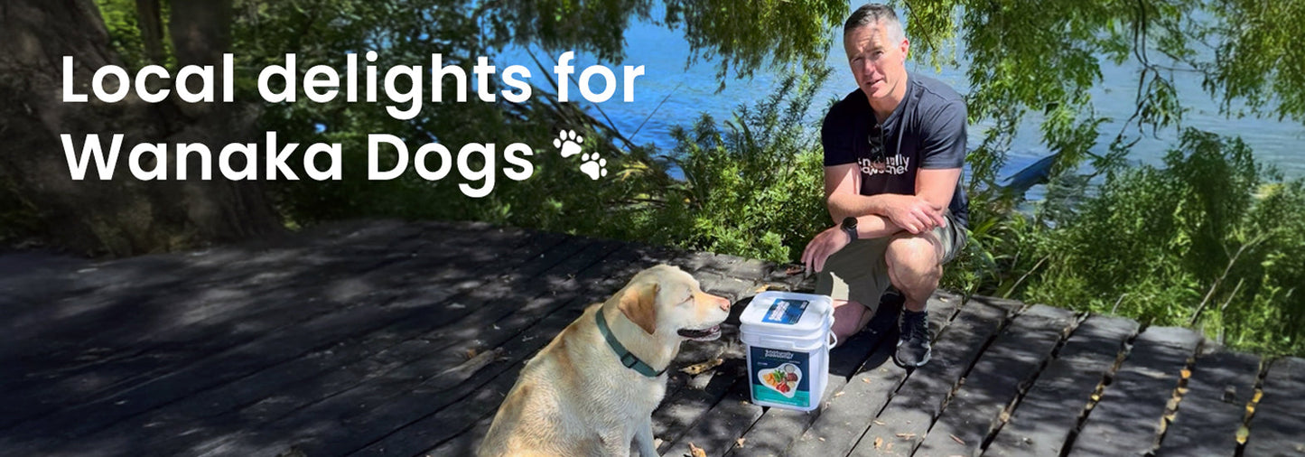 Naturally Pawsome: Local delights for Wanaka dogs