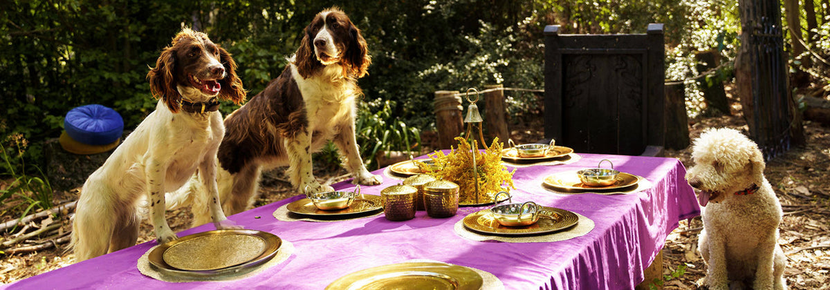 Convenient dog food - to your doorstep