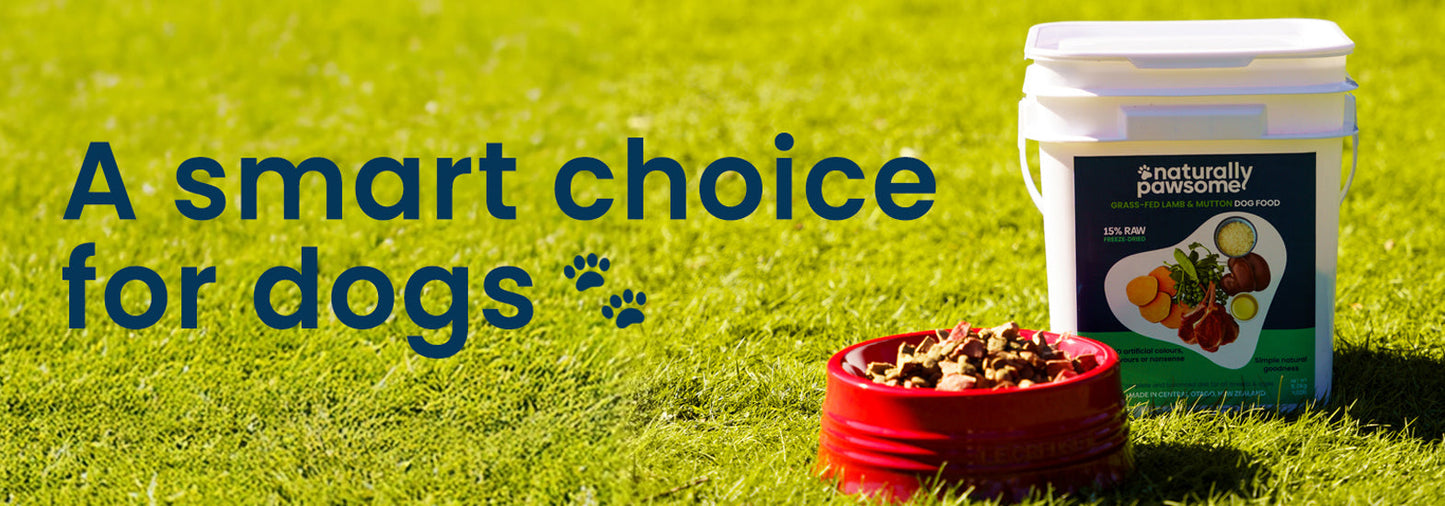 A smart choice for dogs
