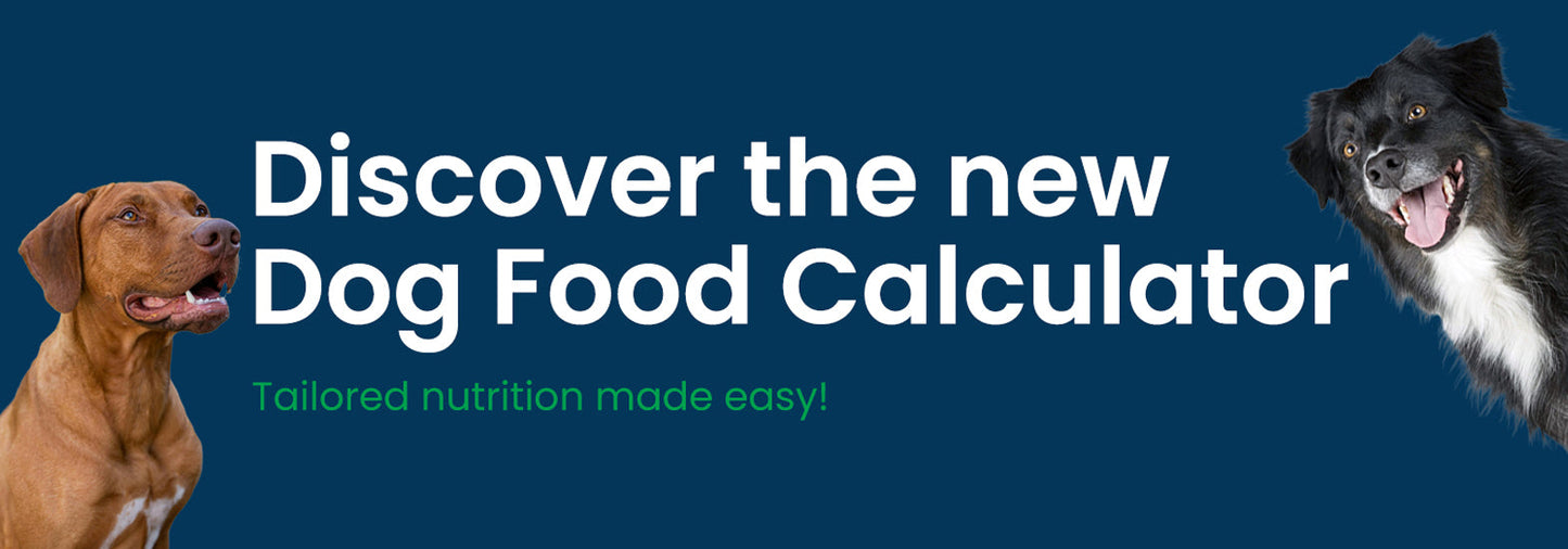 Naturally Pawsome Launches New Dog Food Calculator