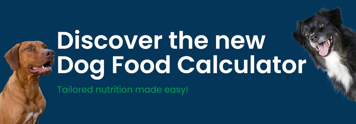Naturally Pawsome launches new dog food calculator
